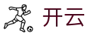开云-Kaiyun官网-官方中文登录入口